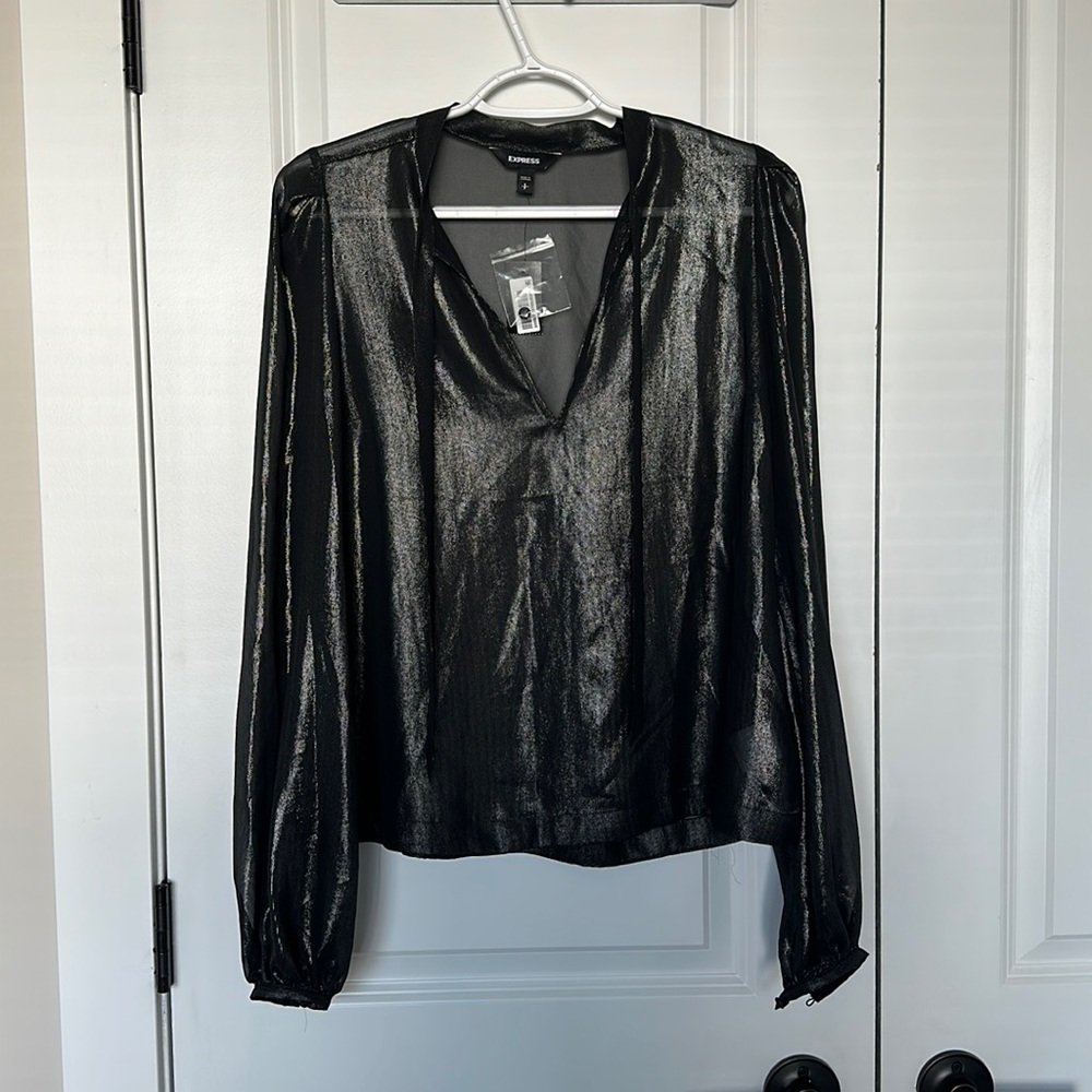 Express sheer metallic blouse
